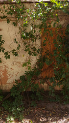 Similar image 22602253