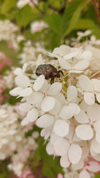 Similar image 22597521