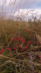 Similar image 22602254