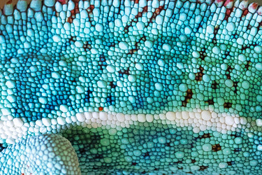 Similar image 22611845