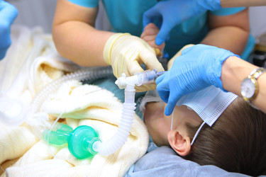 Similar image 22611851