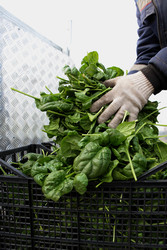 Similar image 22611856