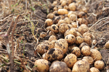 Similar image 22611861