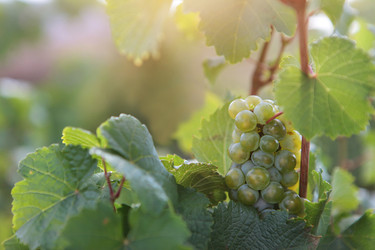 Similar image 22608132