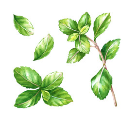 Similar image 22596933