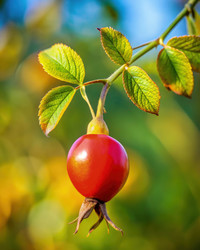 Similar image 22606011