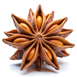 Similar image 22606730