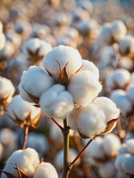 Similar image 22606991