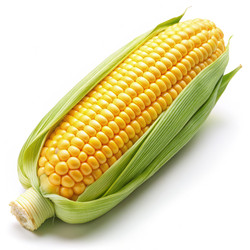 Similar image 22605681