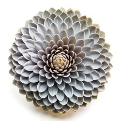 Similar image 22605755