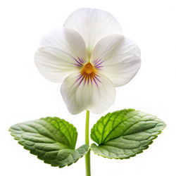 Similar image 22605879