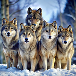 Similar image 22606014