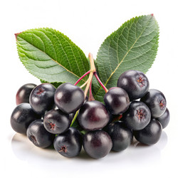 Similar image 22606045