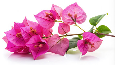 Similar image 22607097