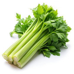 Similar image 22605759