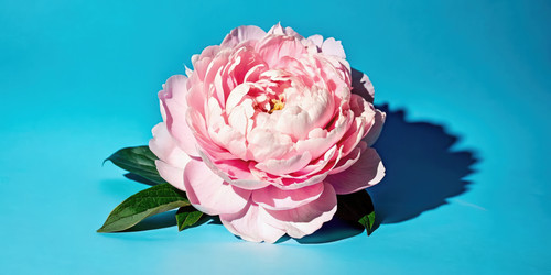 Similar image 22605882