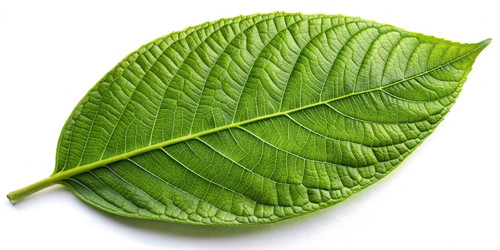 Similar image 22606184