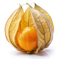 Similar image 22606379