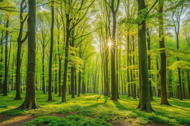 Similar image 22606424