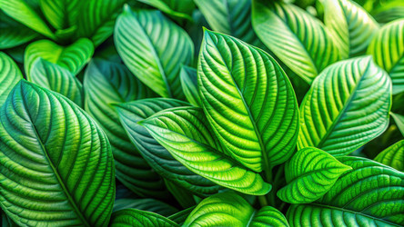 Similar image 22606478