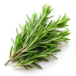 Similar image 22607127