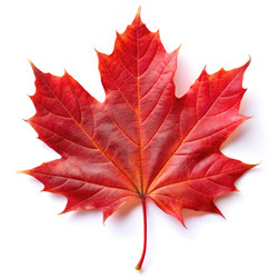 Similar image 22606024