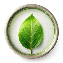 Similar image 22606099