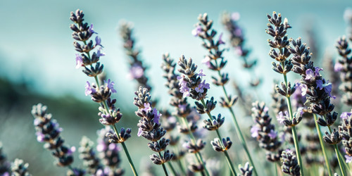 Similar image 22606217