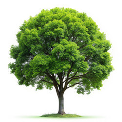 Similar image 22606440