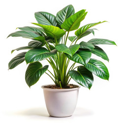 Similar image 22606765