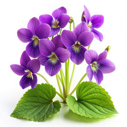 Similar image 22607038