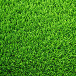 Similar image 22602363