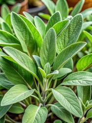 Similar image 22602367