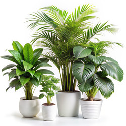 Similar image 22602393