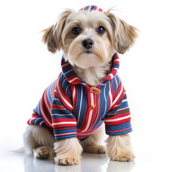 Similar image 22602570