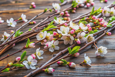 Similar image 22602826