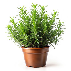 Similar image 22607129