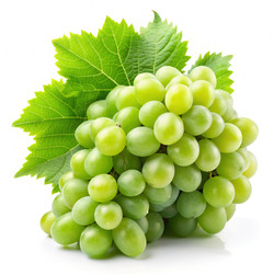 Similar image 22602339