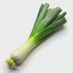 Similar image 22602428