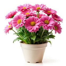 Similar image 22602446