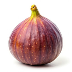 Similar image 22602505