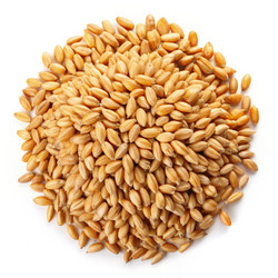 Similar image 22602587