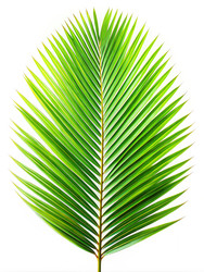 Similar image 22602617