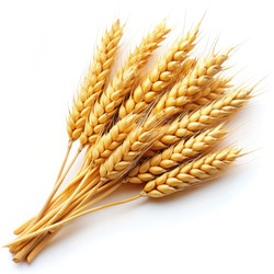 Similar image 22606527