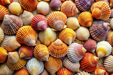 Similar image 22602297