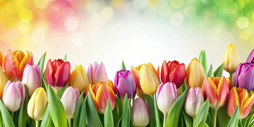 Similar image 22599049