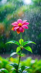 Similar image 22599215