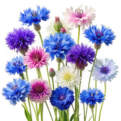 Similar image 22602530