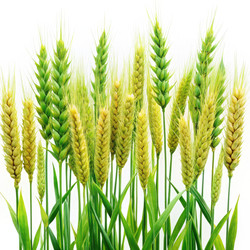 Similar image 22602590