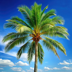 Similar image 22602667